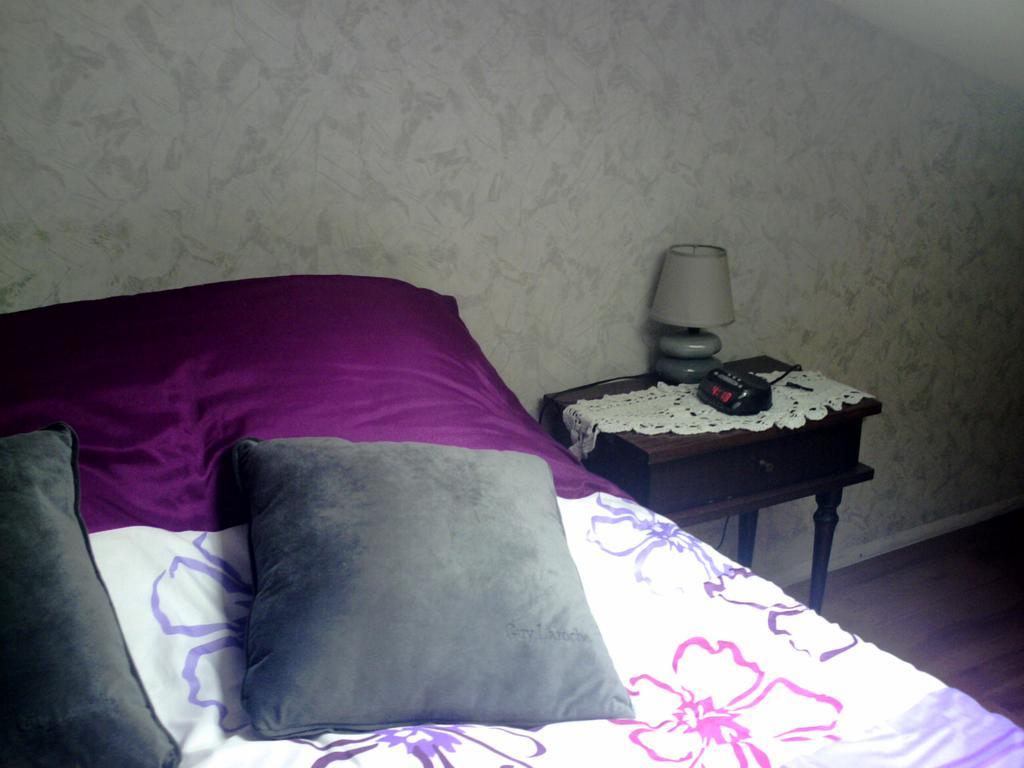 Chambres D'Hotes Riguet Le Mans Zewnętrze zdjęcie